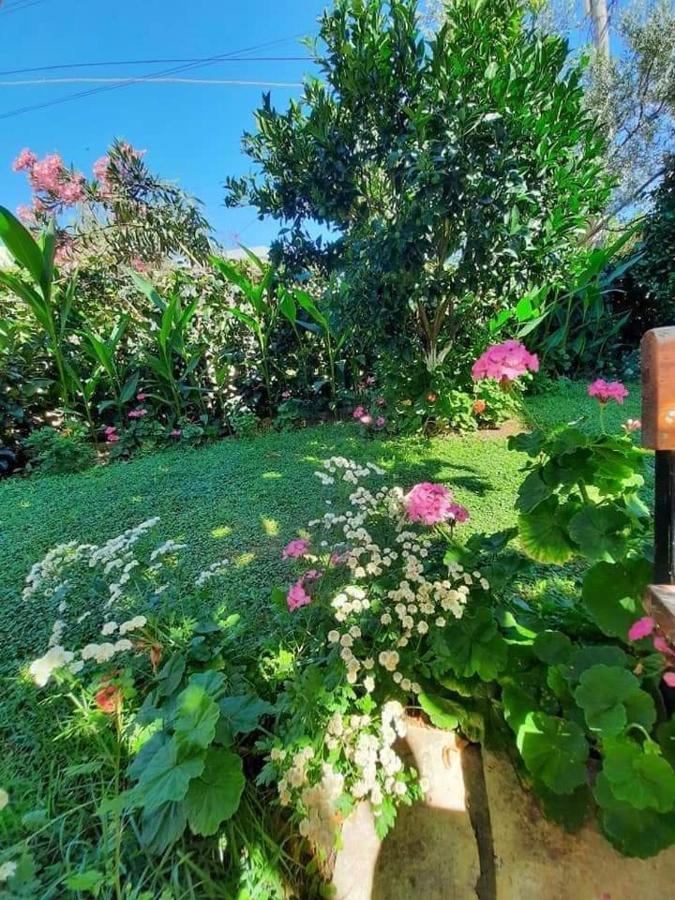 Green Apartments Apartment Ksamil